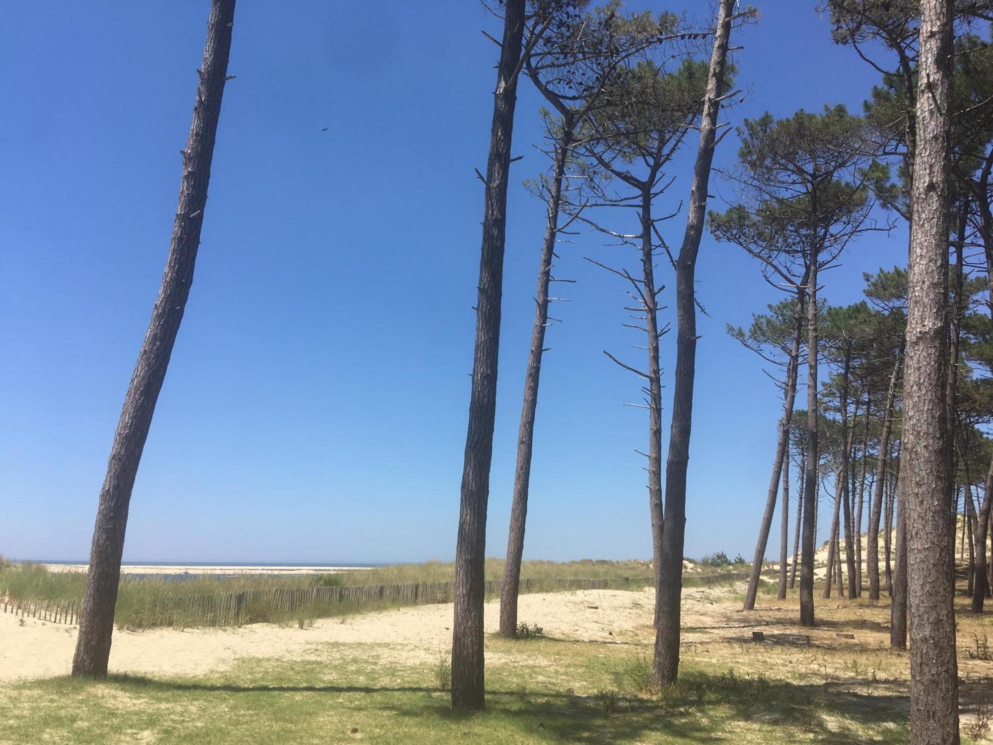 Appartement Spacieux Arcachon Exterior foto